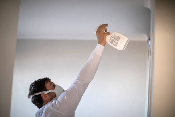 Best Mold Testing  in St Johns, MI