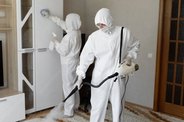 Mold Removal and Inspection in St Johns, MI
