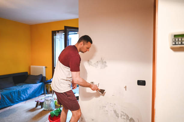 Best Local Mold Removal Service  in St Johns, MI